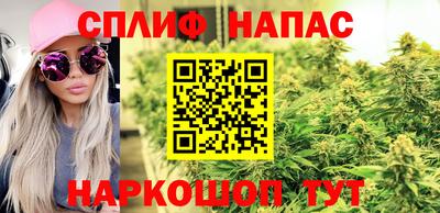 гашик Нягань