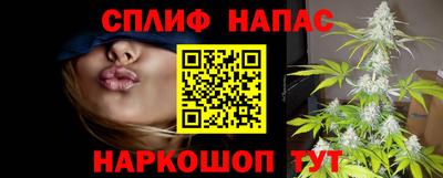 гашик Нягань