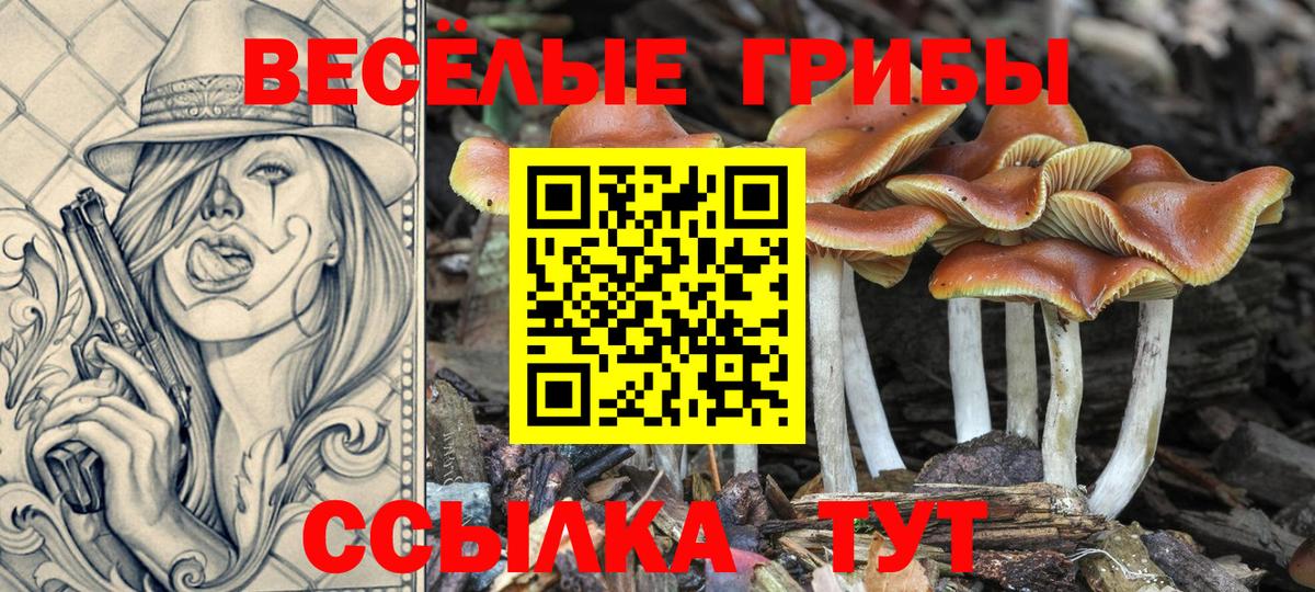 Галлюциногенные грибы мицелий  Псилоцибиновые грибы мицелий  закладки  Вход с VPN  Псков 